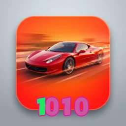 1010